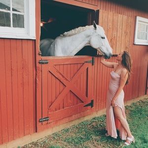 Reformation Ingrid dress in Blush